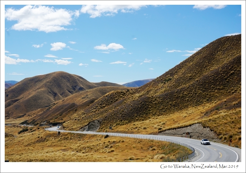 不期而遇的纽西兰